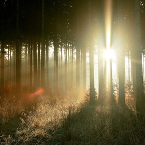 What doesn’t kill&nbsp;you…