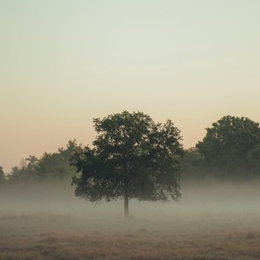 On being lost and&nbsp;found